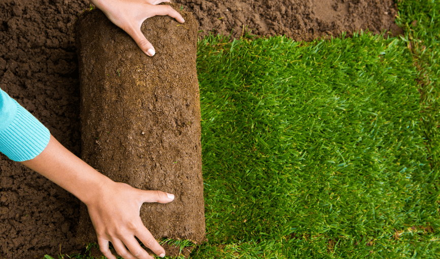 SOD INSTALLATION
